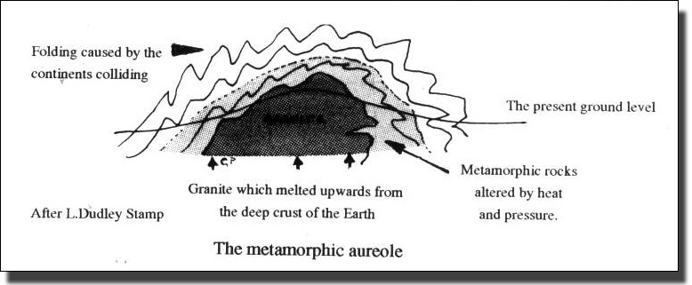 metamorphic rock diagram. Marble is a metamorphic rock