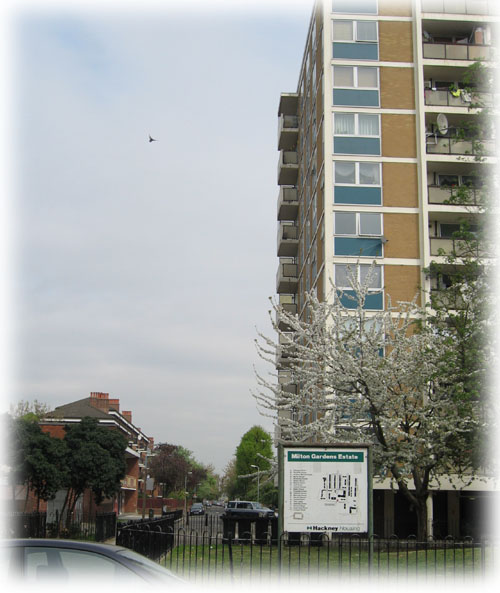 Building the Howard Road Estate in 1938