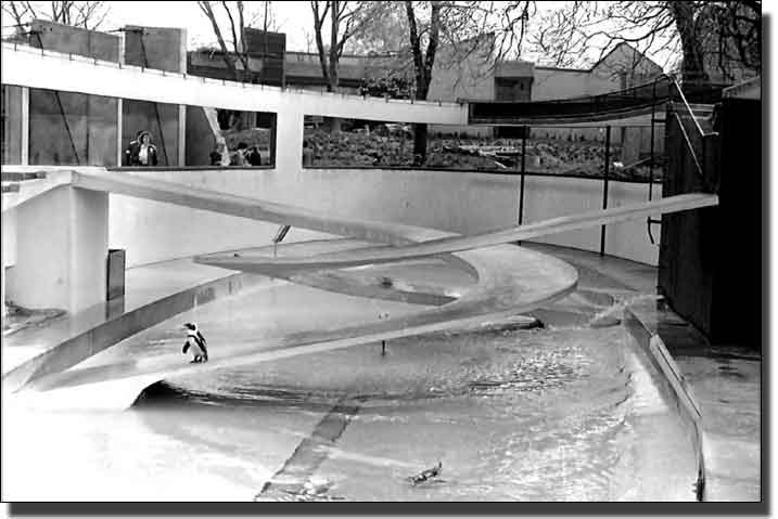Penguin Pool, London Zoo, Regent's Park, 1933-1934  Design: Berthold Lubetkin, Lindsay Drake, Tecton  